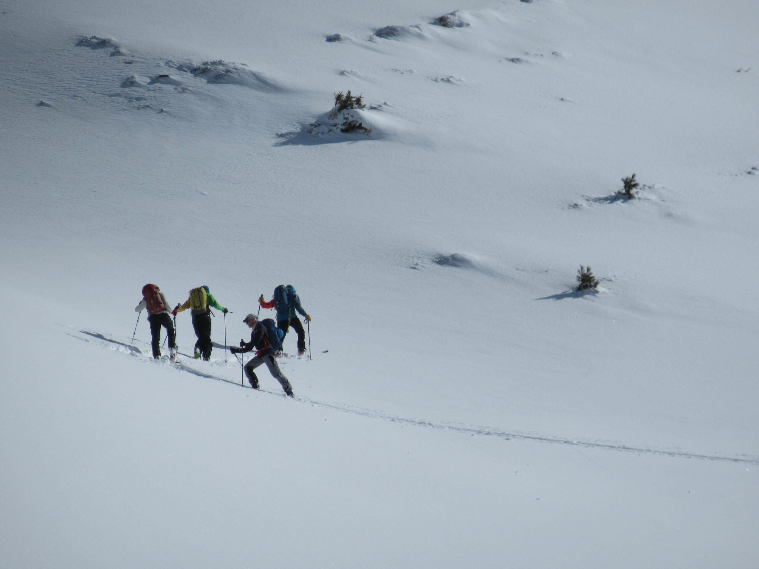 Gastvortrag: Sicher im Schnee unterwegs